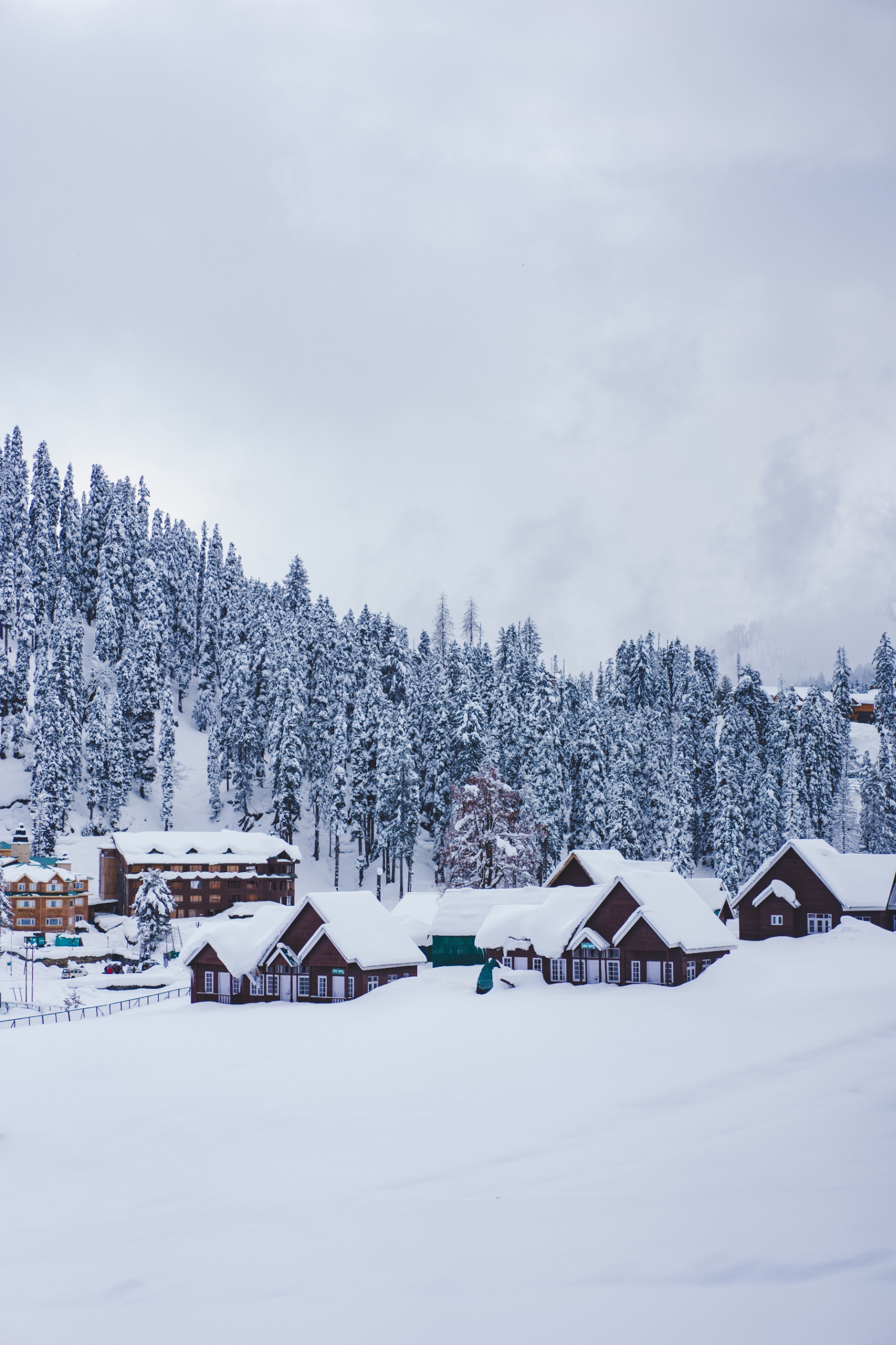 Andhra Pradesh, Bihar, Gujarat, Kerala, Madhya Pradesh, Maharashtra, Rajasthan, Delhi - 4 Nights/5 Days Kashmir Package - Photo 2