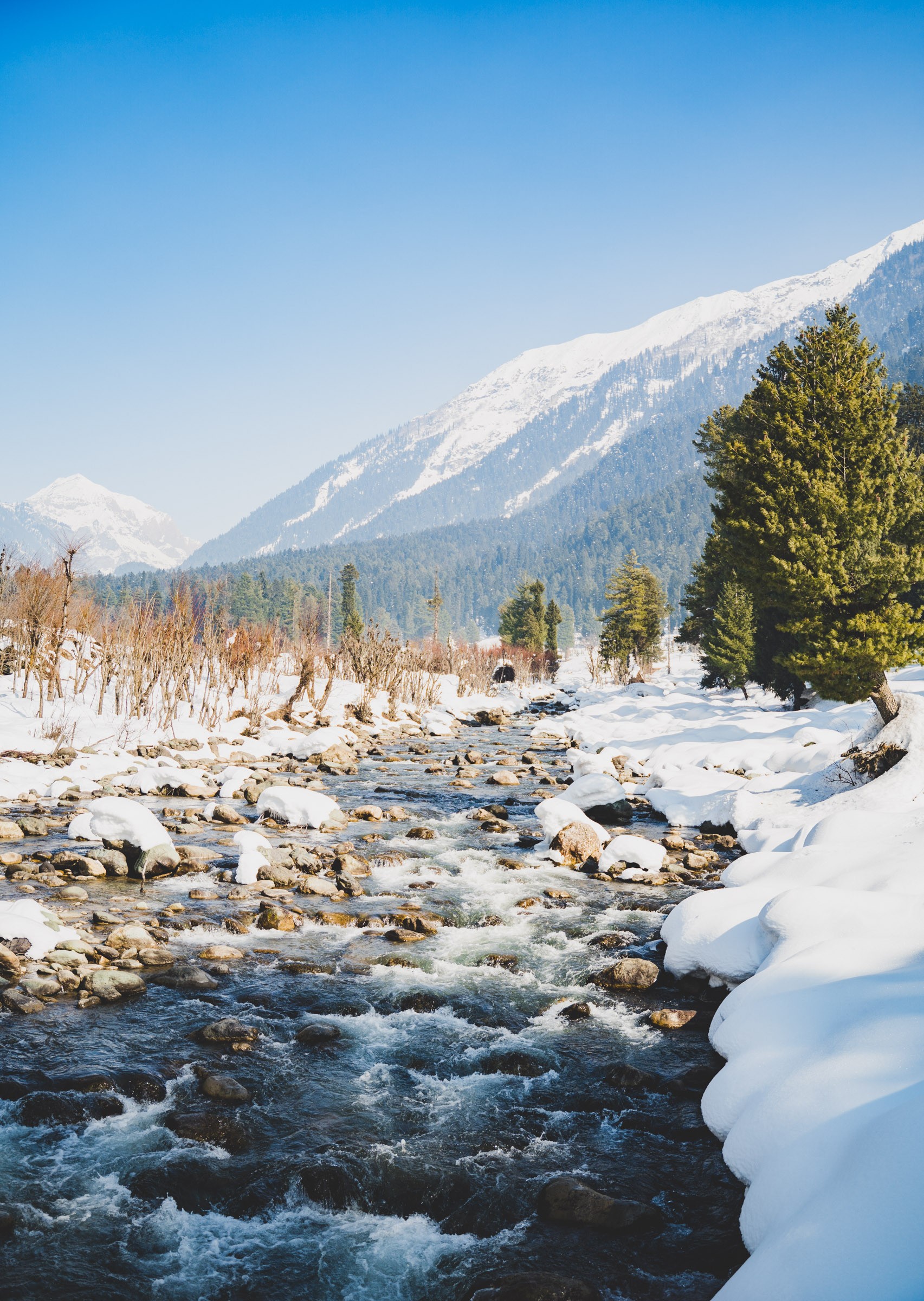 Andhra Pradesh, Bihar, Gujarat, Kerala, Madhya Pradesh, Maharashtra, Rajasthan, Delhi - Srinagar Pahalgam Srinagar