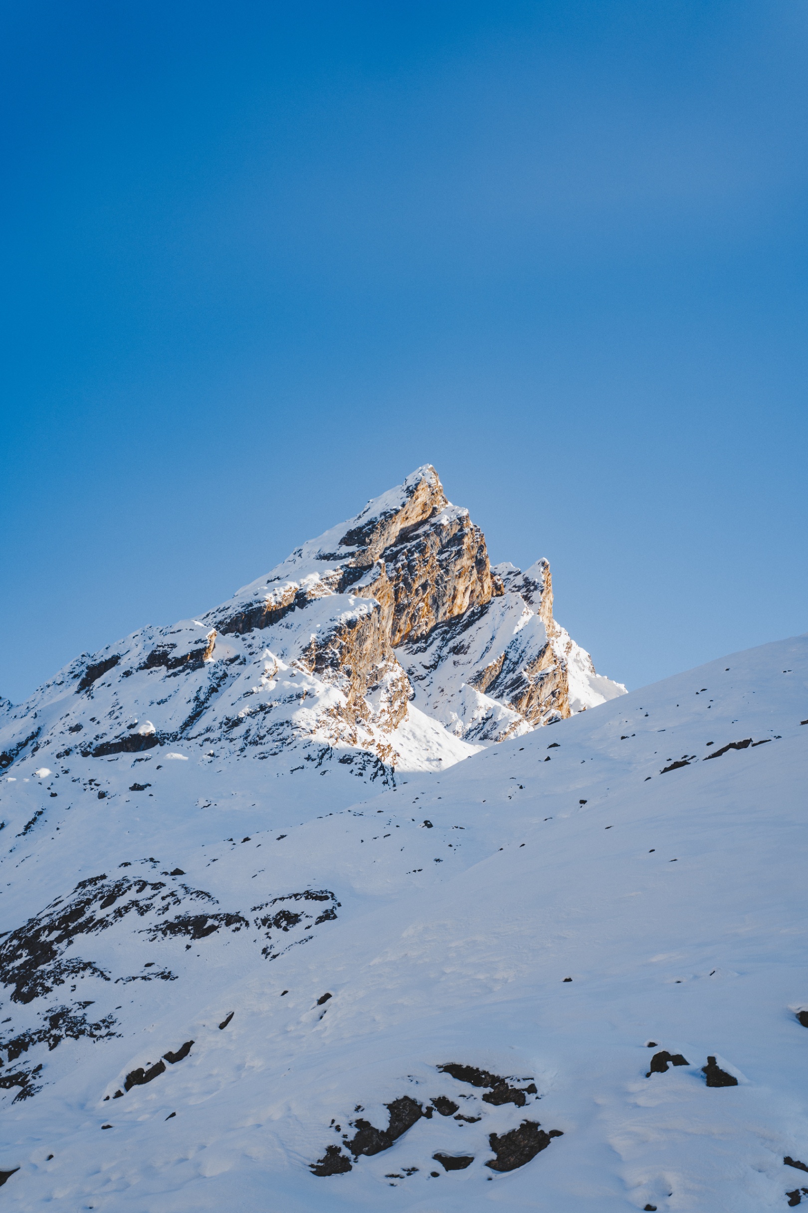 Andhra Pradesh, Bihar, Gujarat, Kerala, Madhya Pradesh, Maharashtra, Rajasthan, Delhi - Srinagar Sonamarg Srinagar
