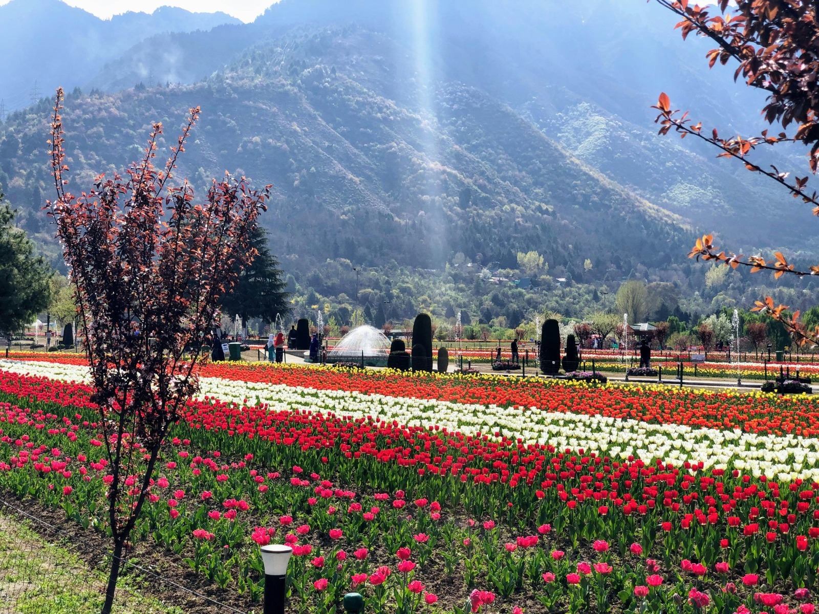 Jammu and Kashmir - KASHMIR - Photo 4