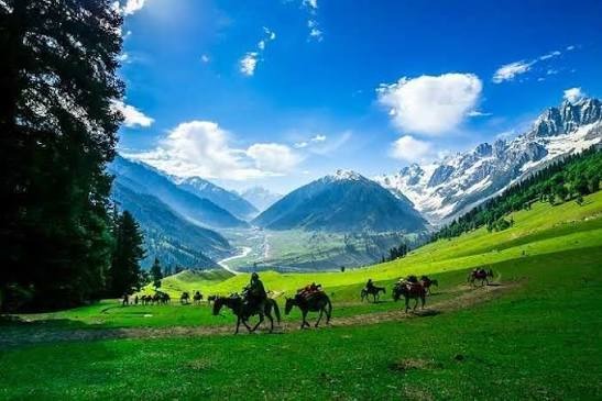 Jammu and Kashmir - KASHMIR - Photo 3