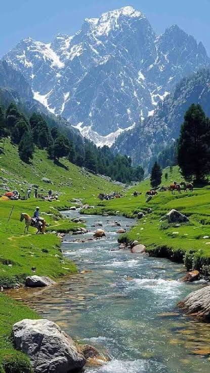 Jammu and Kashmir - KASHMIR - Photo 2
