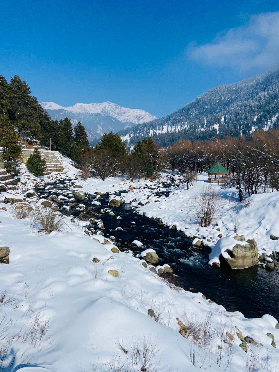 Jammu and Kashmir - 🌲 Gulmarg Pahalgam