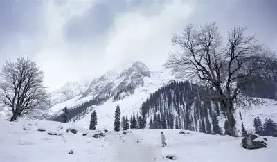 Jammu and Kashmir - 🏞️ Pahalgam Srinagar