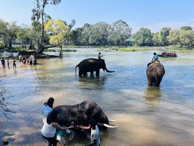 Karnataka, Tamil Nadu - Mystic south India: 5 Nights 6 Days Tour - Photo 2