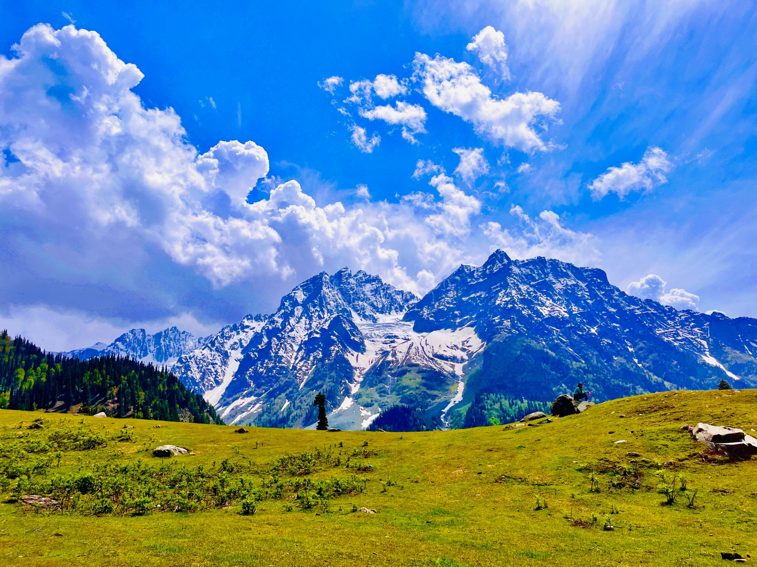 Jammu and Kashmir, Andhra Pradesh, Arunachal Pradesh, Chhattisgarh, Goa, Haryana, Himachal Pradesh, Jharkhand, Kerala, Karnataka, Gujarat, Maharashtra, Madhya Pradesh, Punjab, Tamil Nadu, Uttar Pradesh, West Bengal, Telangana, Chandigarh, Delhi, Puducherry, Rajasthan - Sonmarg