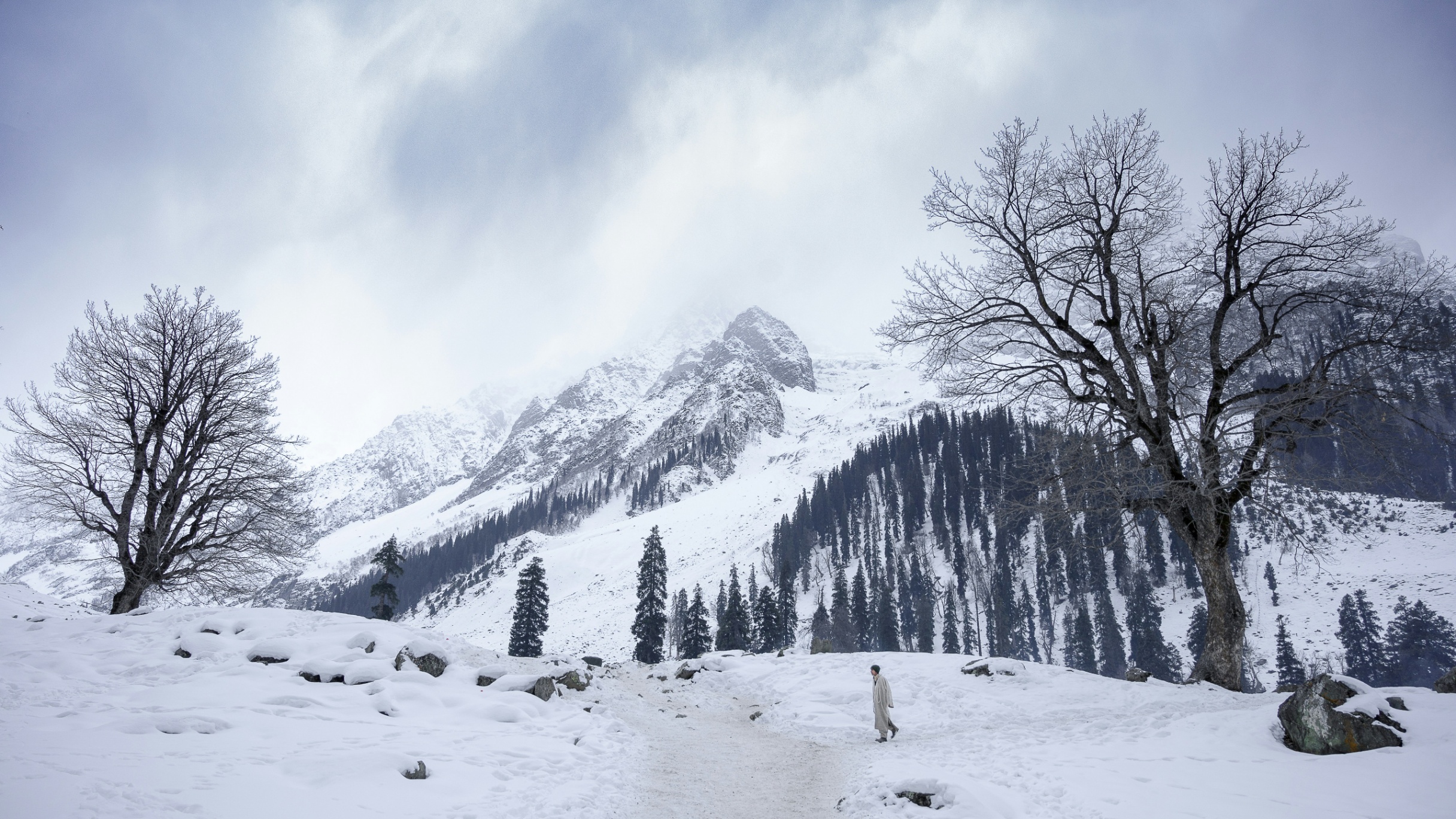 Jammu and Kashmir - 3N4D - Photo 3