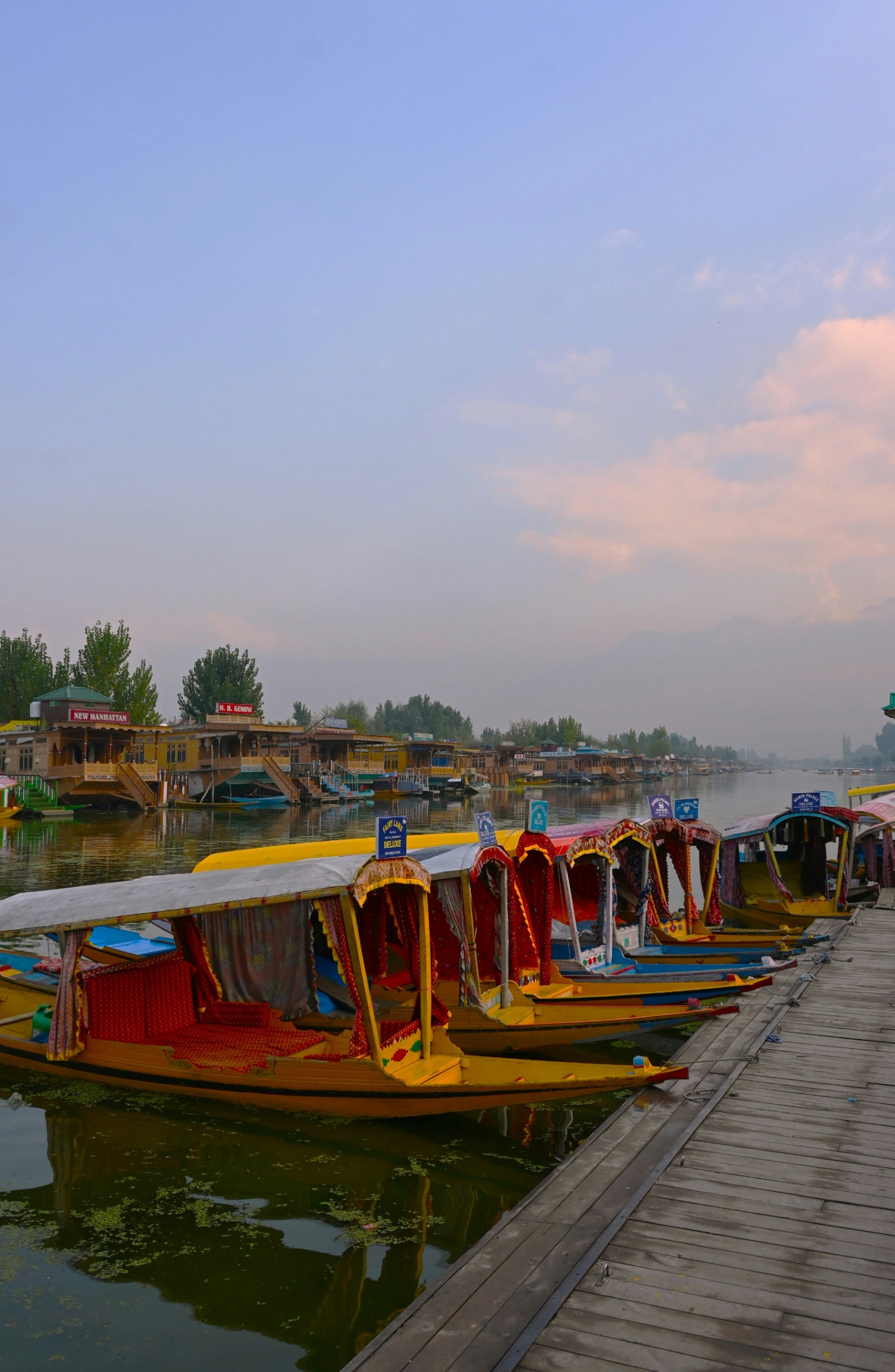 Jammu and Kashmir - Srinagar