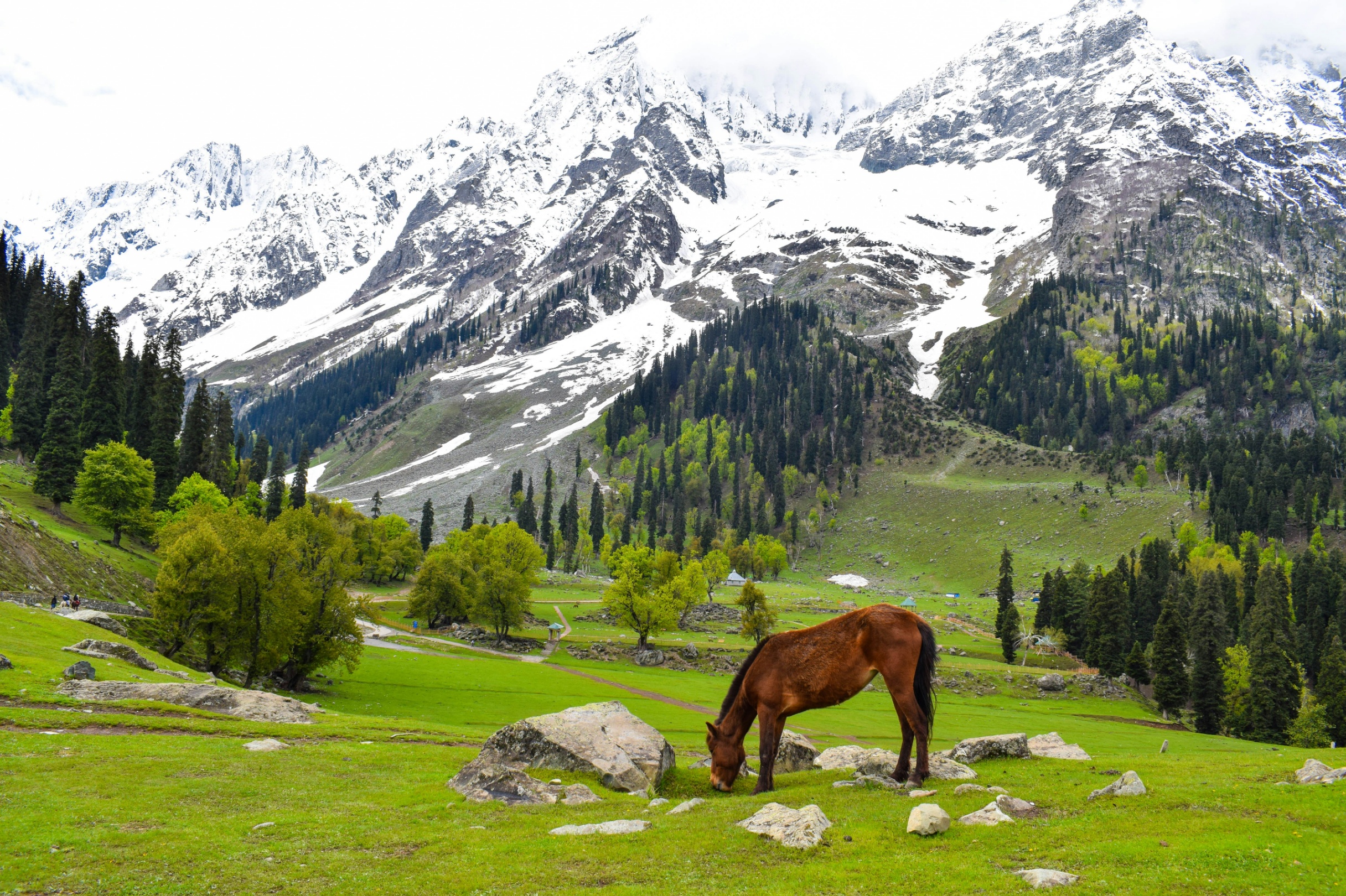 Maharashtra, Gujarat, Rajasthan, Chhattisgarh, Andhra Pradesh, Himachal Pradesh, Karnataka, Kerala, Tamil Nadu, Telangana, Chandigarh, Madhya Pradesh, Assam, Delhi - 5N6D  Honey Moon  package  - Photo 2