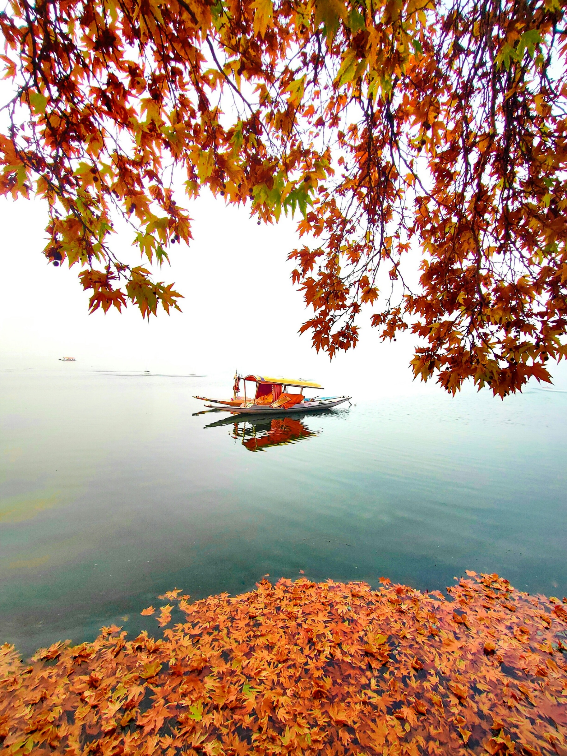 Maharashtra, Gujarat, Rajasthan, Chhattisgarh, Andhra Pradesh, Himachal Pradesh, Karnataka, Kerala, Tamil Nadu, Telangana, Chandigarh, Madhya Pradesh, Assam, Delhi - 5N6D  Honey Moon  package  - Photo 1
