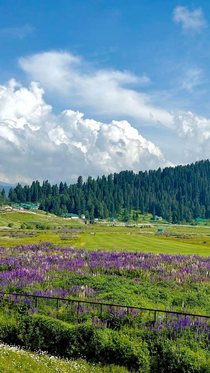 Jammu and Kashmir - Gulmarg