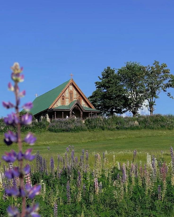 Jammu and Kashmir - Gulmarg