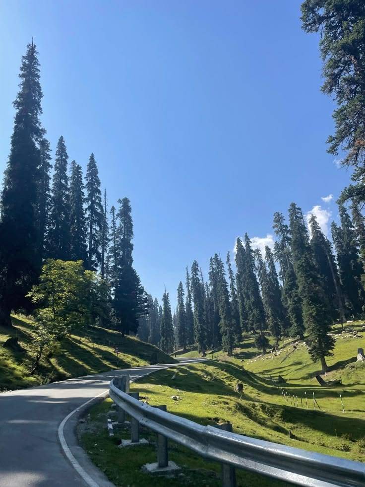 Jammu and Kashmir - 5 Days / 4 Nights - Kashmir's Couple Getaway - Photo 2