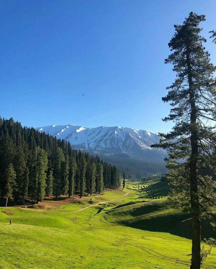 Jammu and Kashmir - 6 Days / 5 Nights  Group tour Package (08 pax) - Photo 3