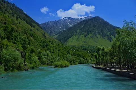 Jammu and Kashmir - 4Night 5Days Honeymoon Special Including Gulmarg Stay - Photo 3