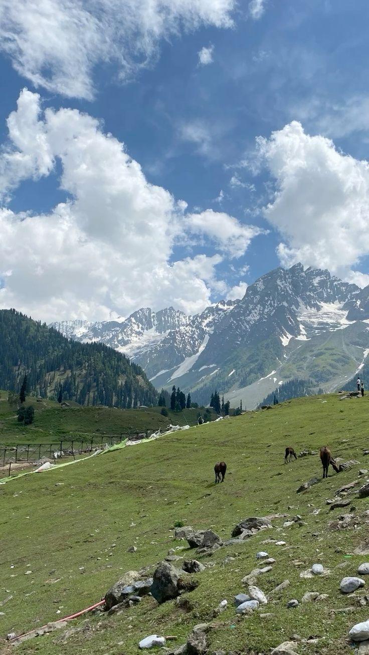 Jammu and Kashmir - Sonamarg