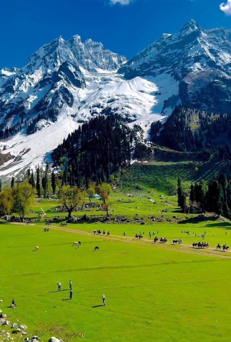 Jammu and Kashmir - Sonamarg