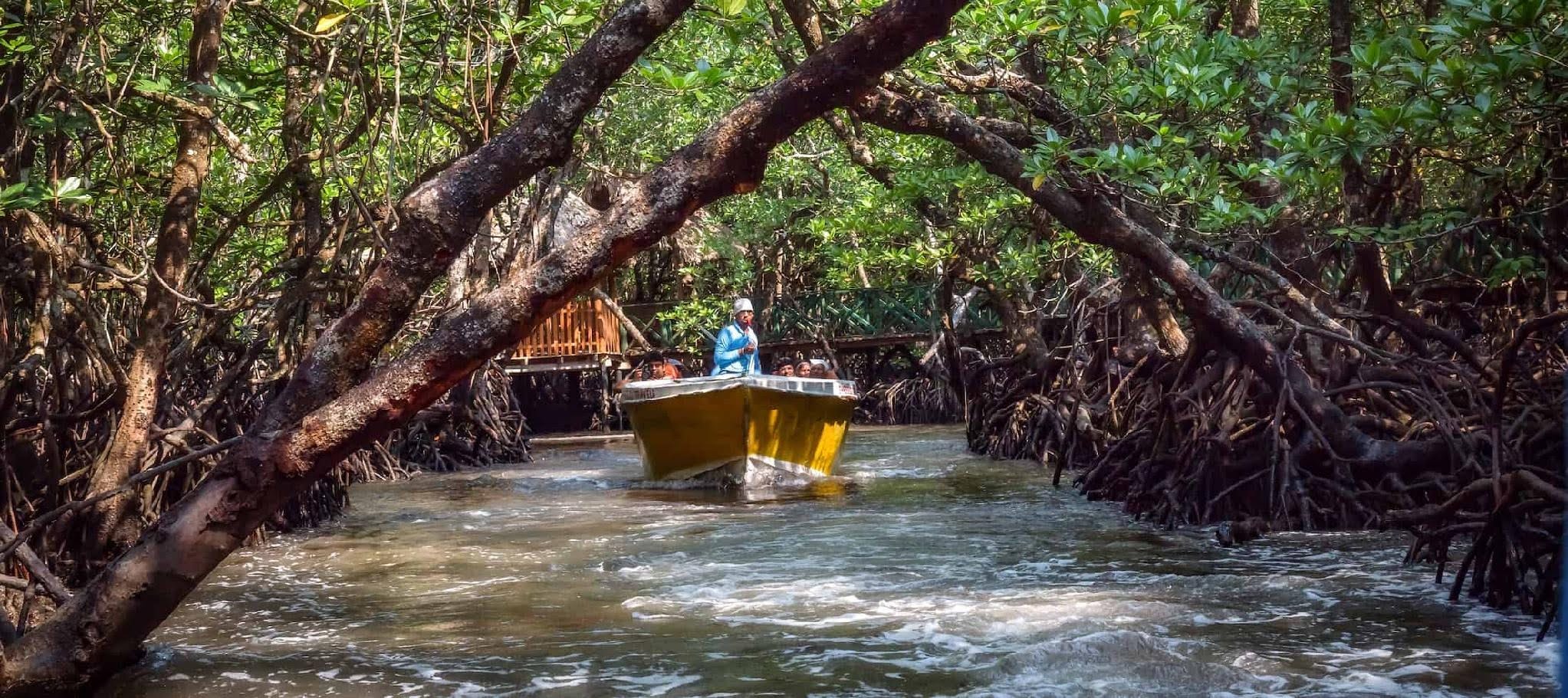 Andaman & Nicobar Islands - Baratang Limestone Caves Mangroves Mud Volcanoes - Photo 2