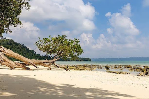 Andaman & Nicobar Islands - Andaman 7D/6N (3N Port Blair, 1N Neil, 2N Havelock) - Photo 13