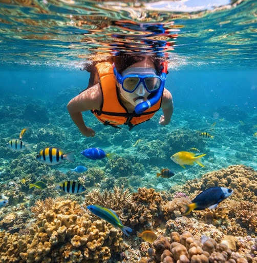 Andaman & Nicobar Islands - North Bay Ross Island Coral Reefs Colonial Heritage - Photo 2