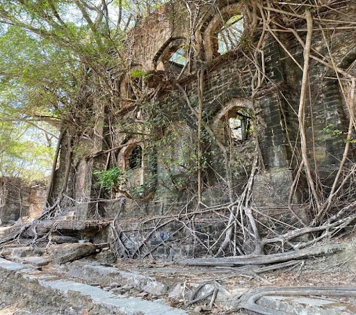 Andaman & Nicobar Islands - North Bay Ross Island Coral Reefs Colonial Heritage - Photo 4