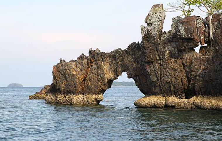 Andaman & Nicobar Islands - Swaraj Dweep Shaheed Dweep Beaches Natural Bridge - Photo 4