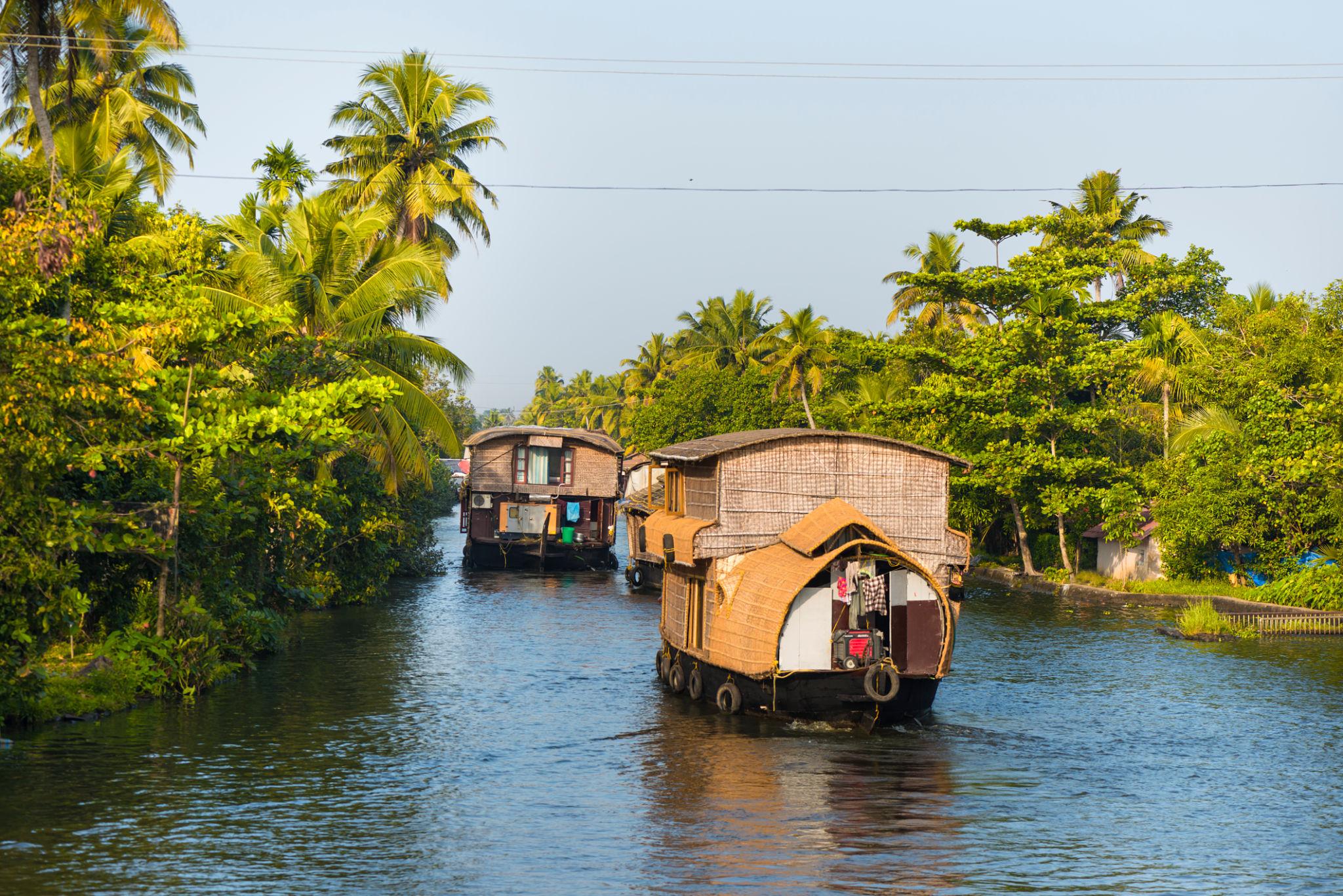 Kerala - Essential Kerala – 5 Nights / 6 Days - Photo 4