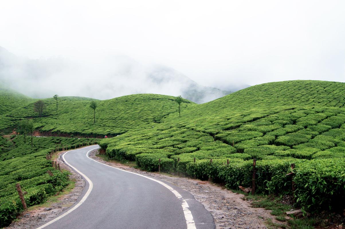 Kerala - Kochi Munnar