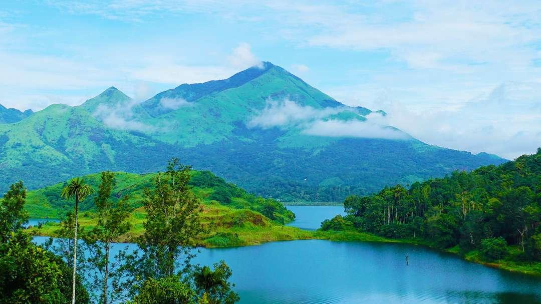 Kerala - Munnar Thekkady