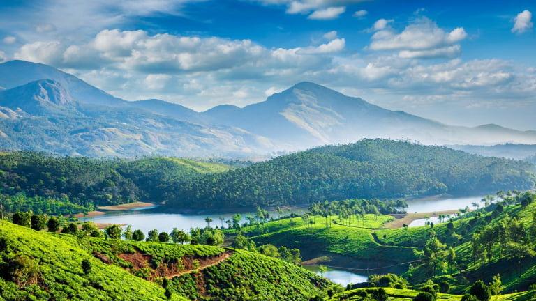 Kerala - Kerala All in One – 8 Days / 7 Nights with Houseboat - Photo 3