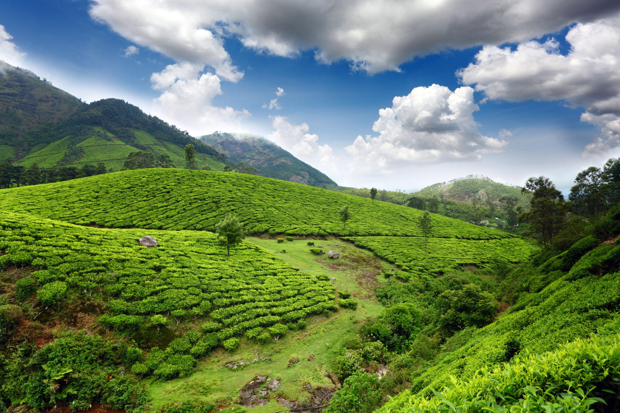 Kerala - Essential Kerala – 5 Nights / 6 Days - Photo 1